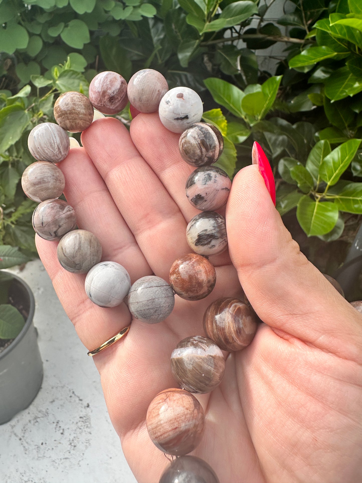 Pink Petrified Wood 16mm