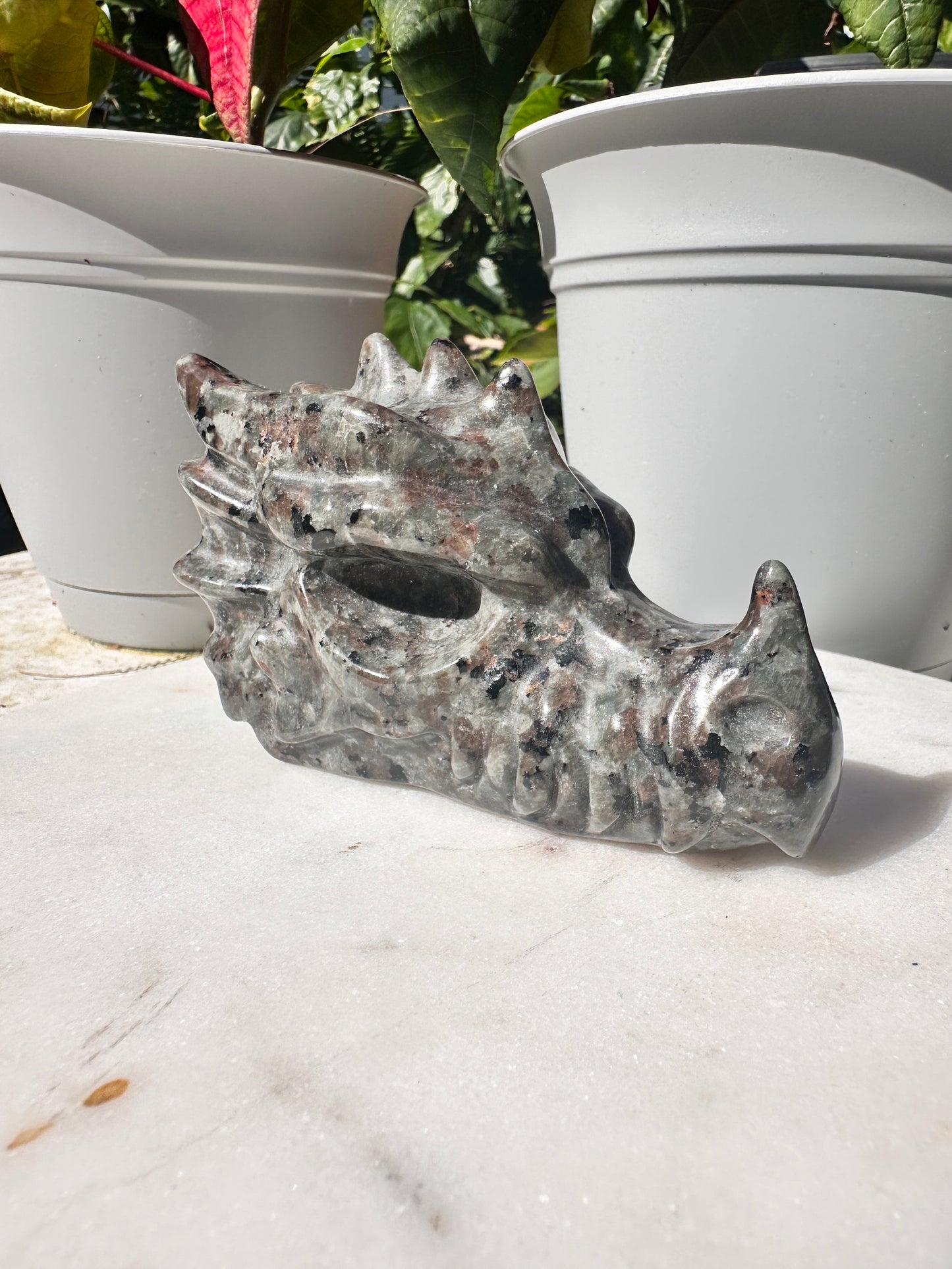 Yooperlite Dragon head carving